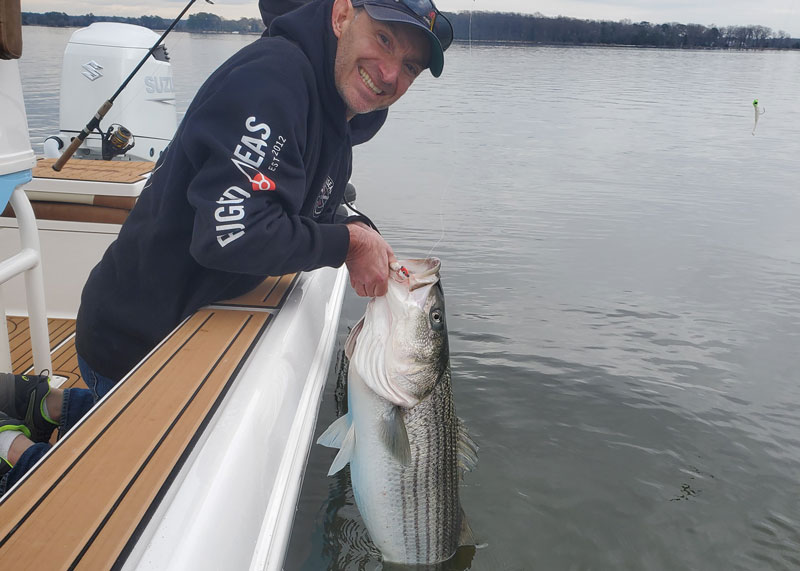 rockfish in eastern bay