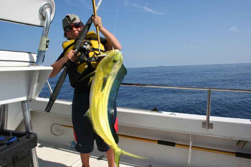 caught a mahi-mahi