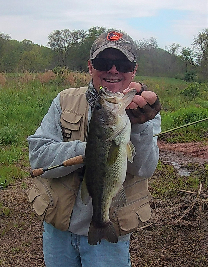 bass on ned rig