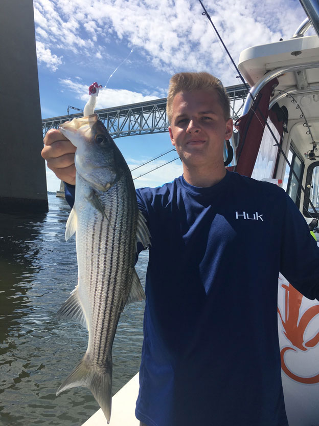 rockfish at the bay bridge