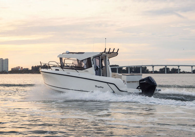 bayliner t25 fishing boat