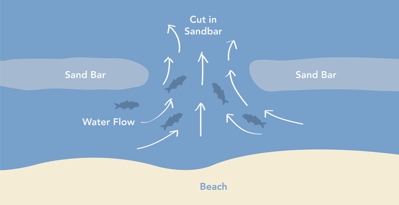 trough in the beach