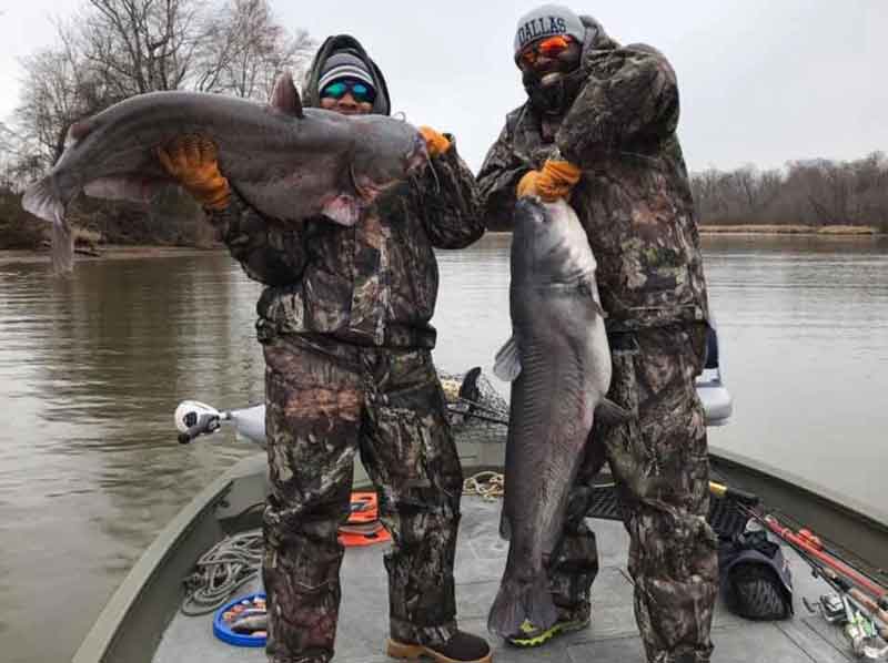 holding up big blue catfish