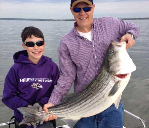 rockfish on bunker chunks