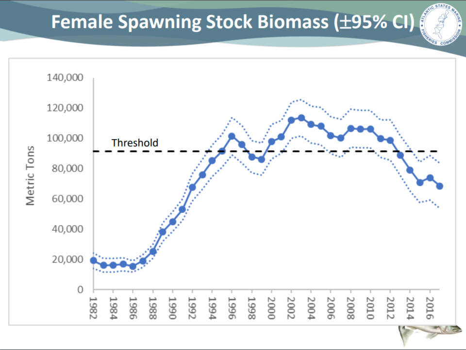 striped bass populations