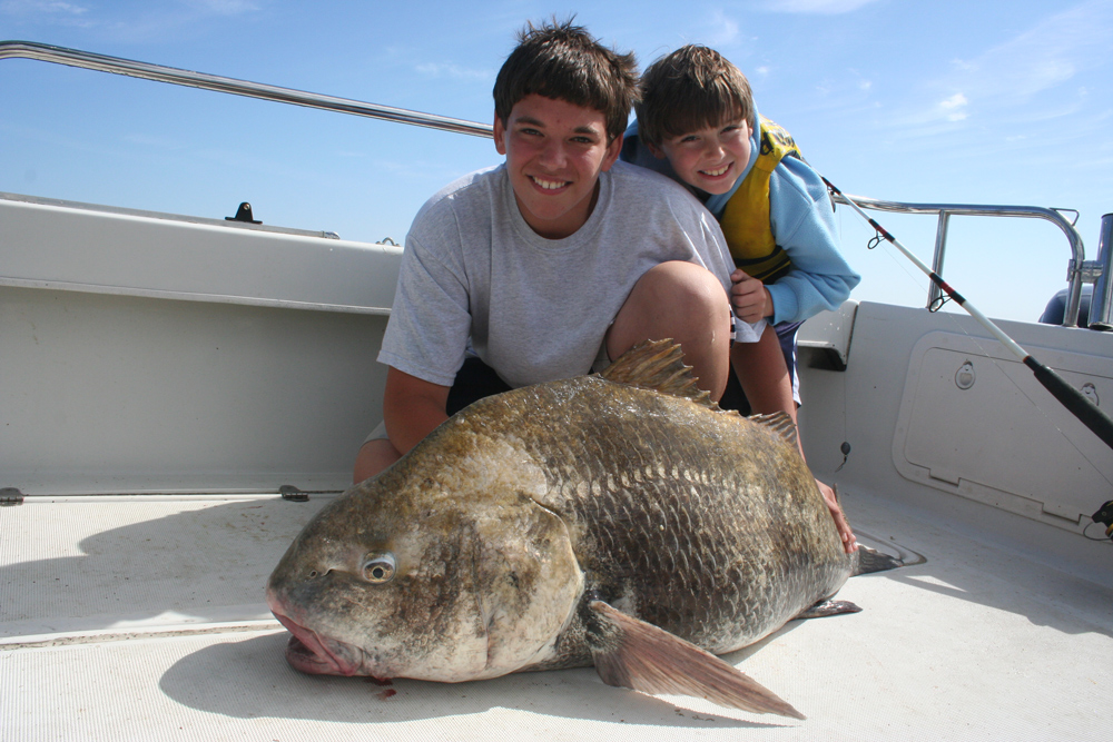 black drum fishing on the chesapeake