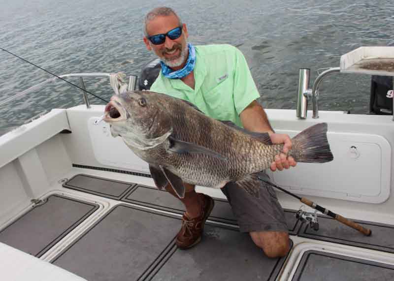 black drum on jig