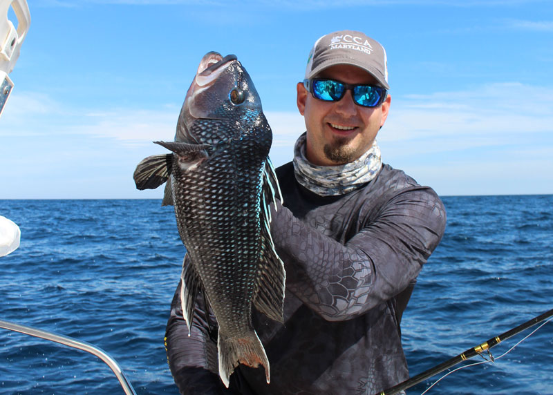 black sea bass fishing from a boat