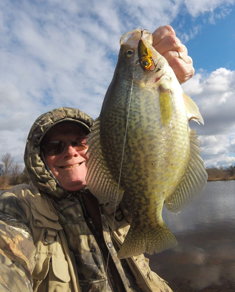 crappie on bladebait