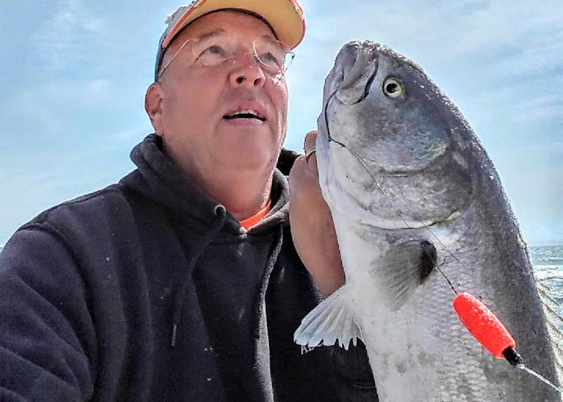 caught a bluefish in the surf