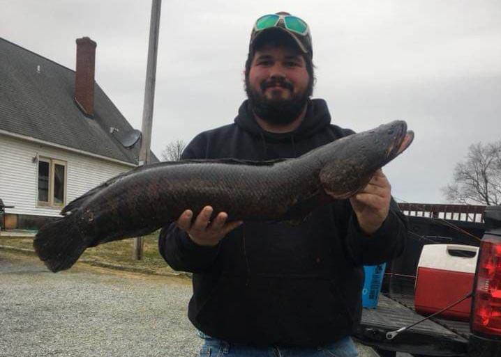 bowfisherman with a snakehead