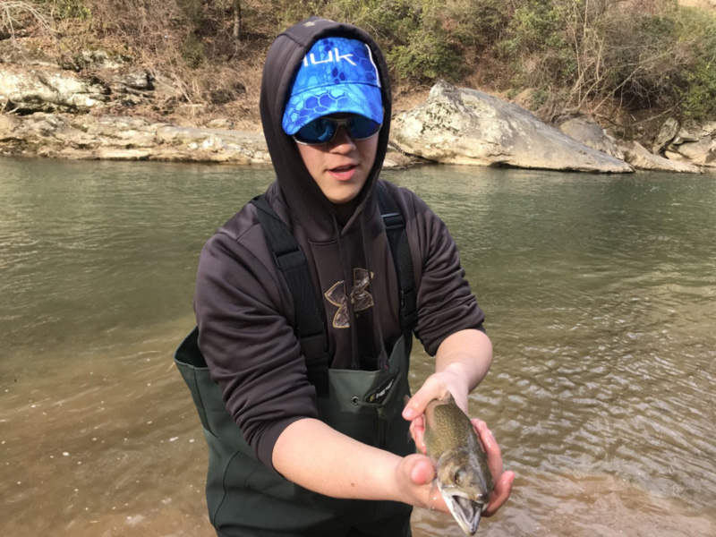 brook trout in a stream