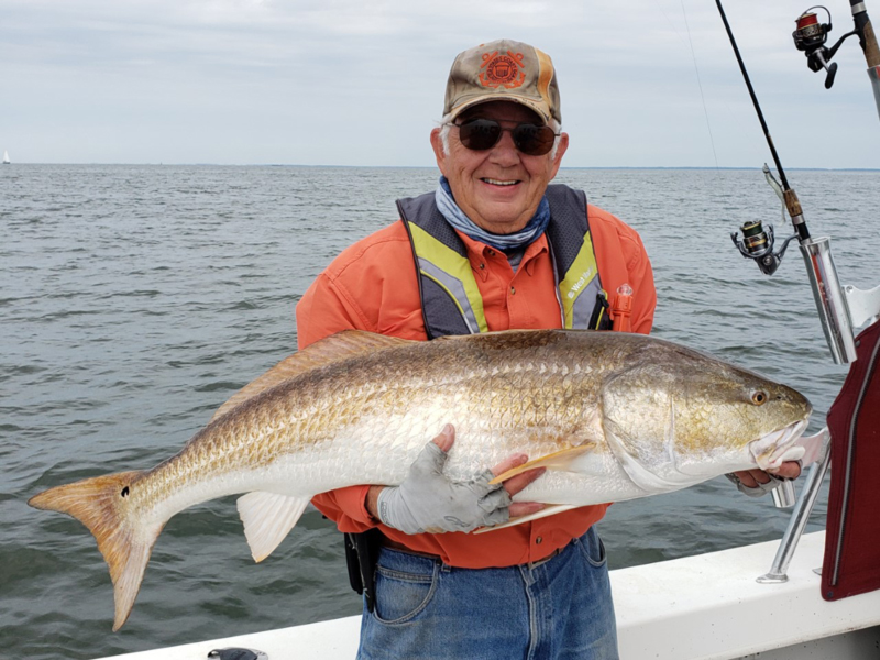 bull redfish on light gear