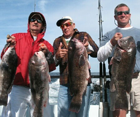 anglers catching tautog