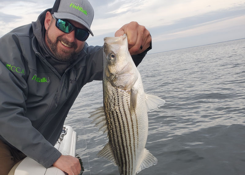 fishtalk zach ditmars with a chesapeake rockfish