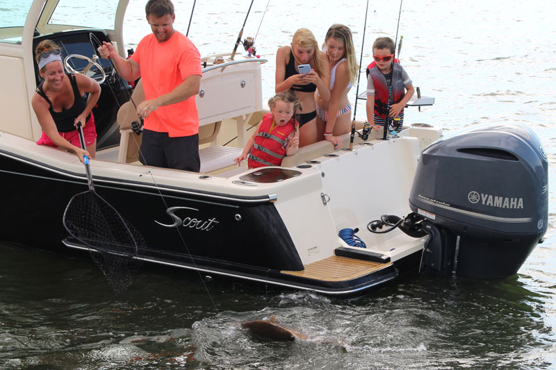 choptank black drum