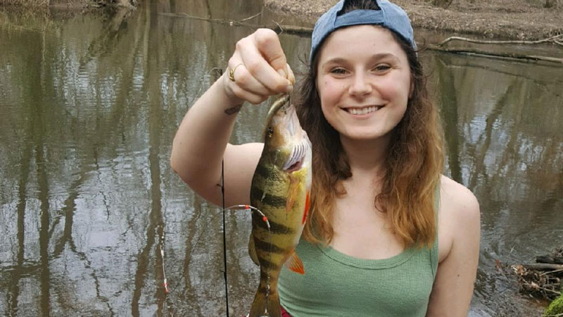 choptank river yellow perch