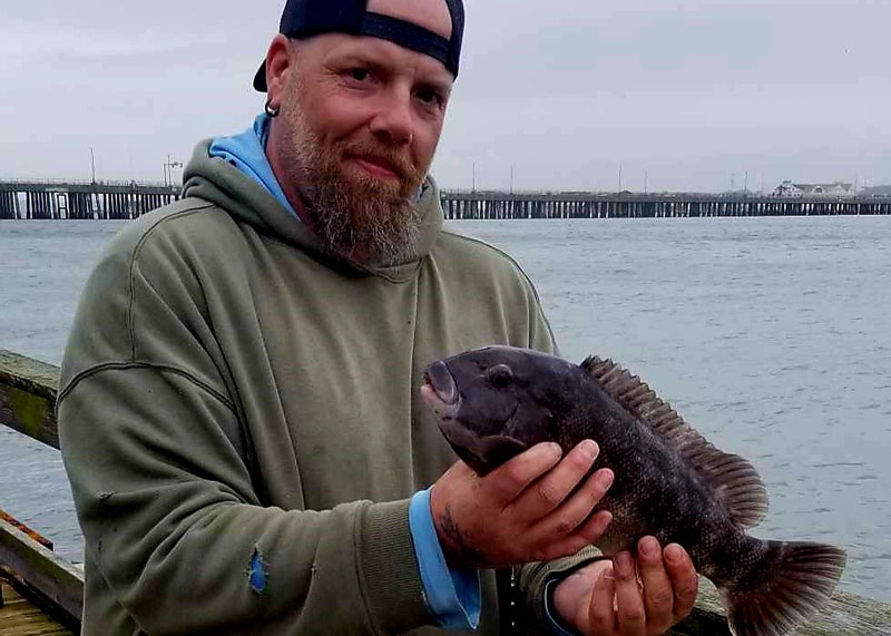 ocean city tautog