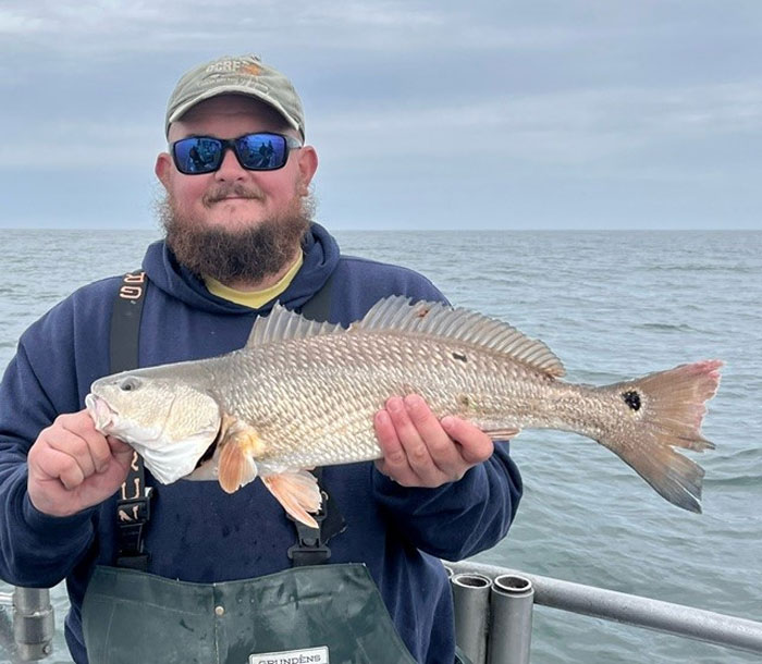 red drum in the ocean