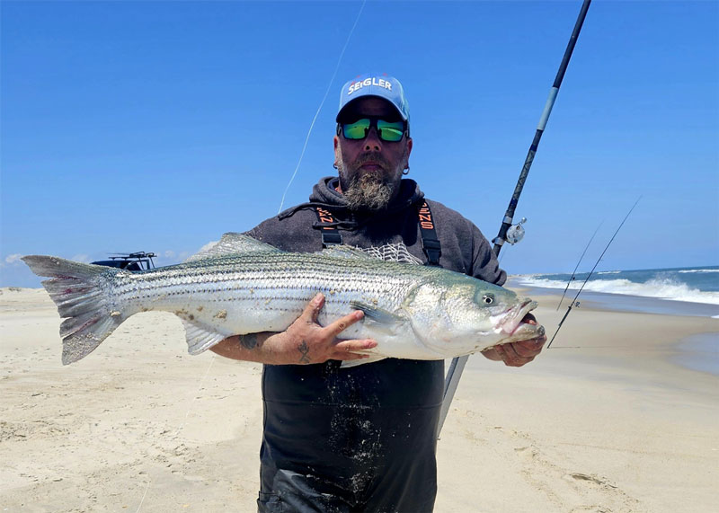 striper on the beach