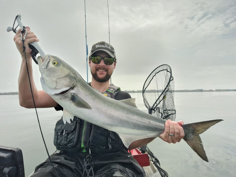 big bluefish on kayak