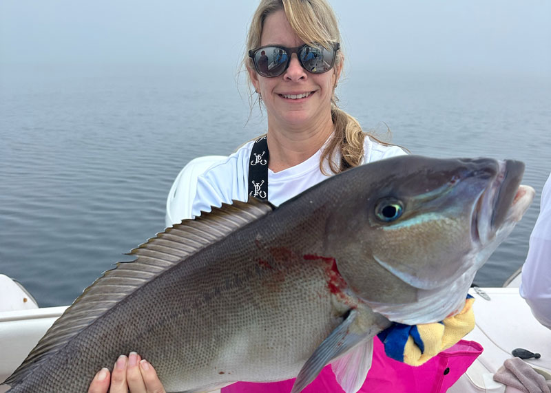 angler in the ocean caught a blueline tilefish