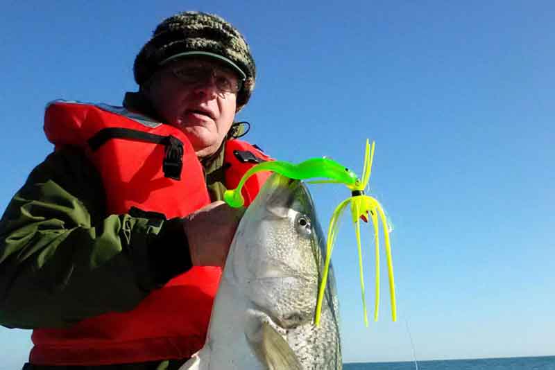 rockfish trolled in ocean