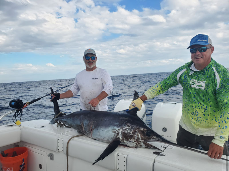 swordfish caught deep dropping 