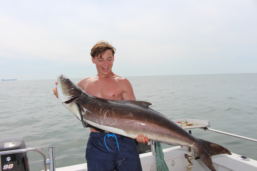 This cobia broke a landing net