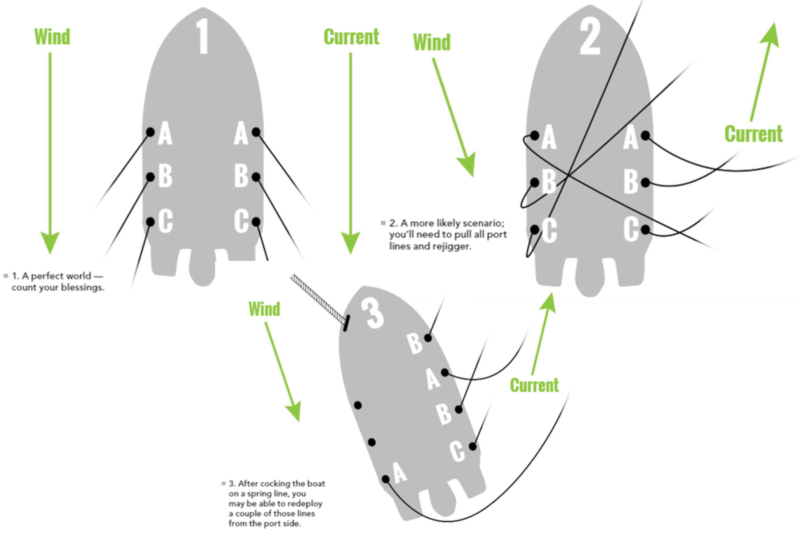 spread of lines for cobia chumming