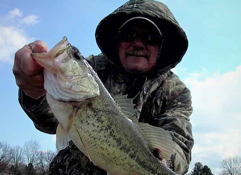 largemouth bass caught pre spawn