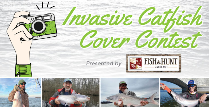 fishtalk cover contest