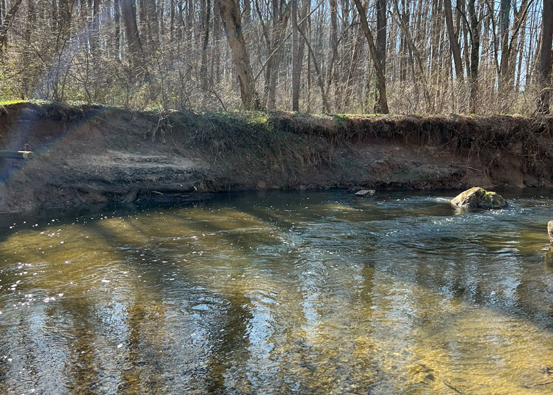 reading a trout river