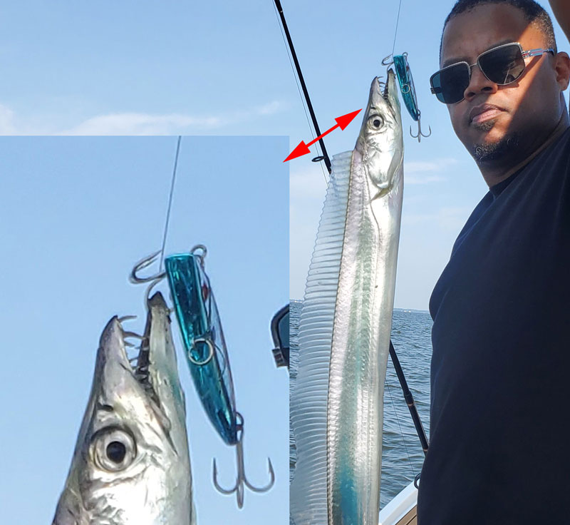 lures for catching cutlassfish and ribbonfish