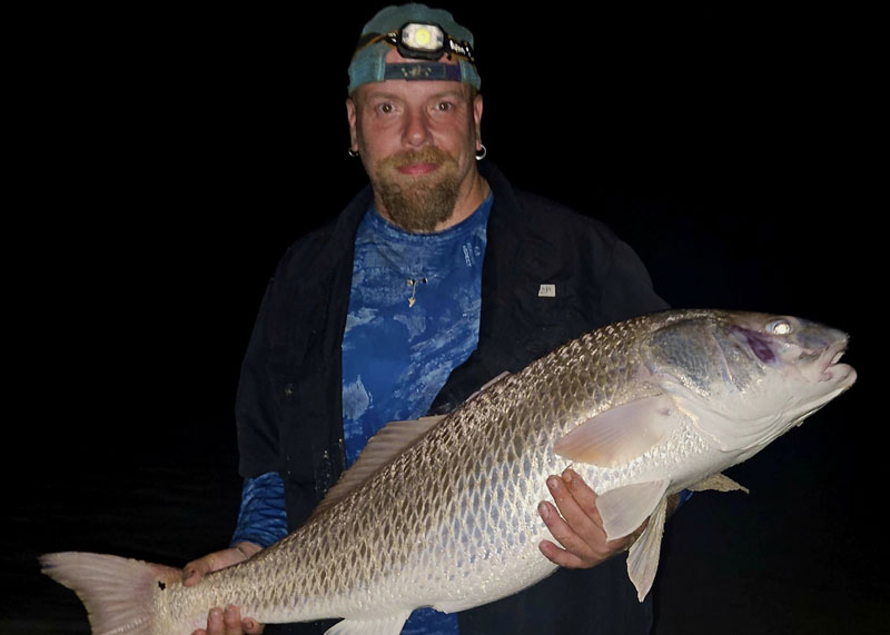 bull red drum at dusk