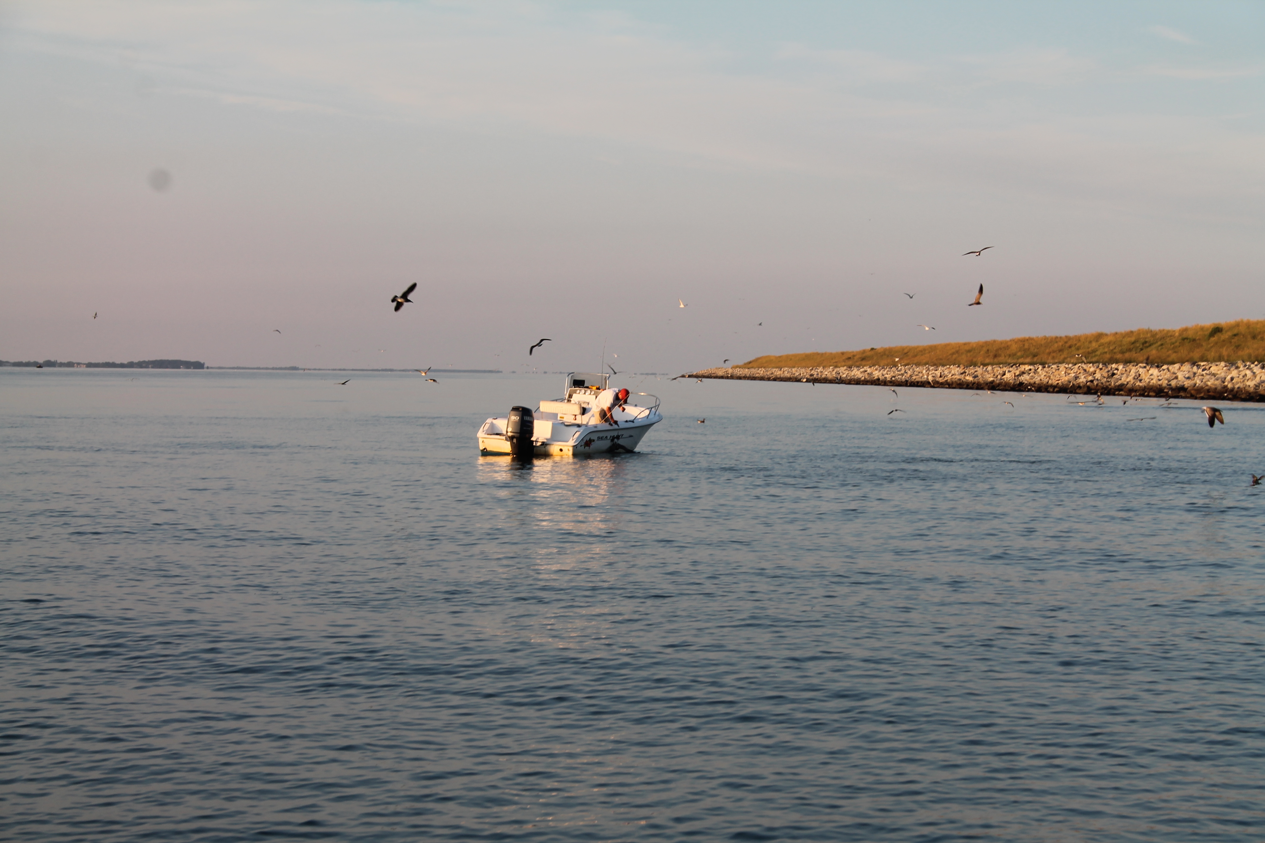 jigging on chesapeake bay