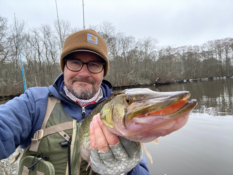 pickerel caught fishing with a spinner