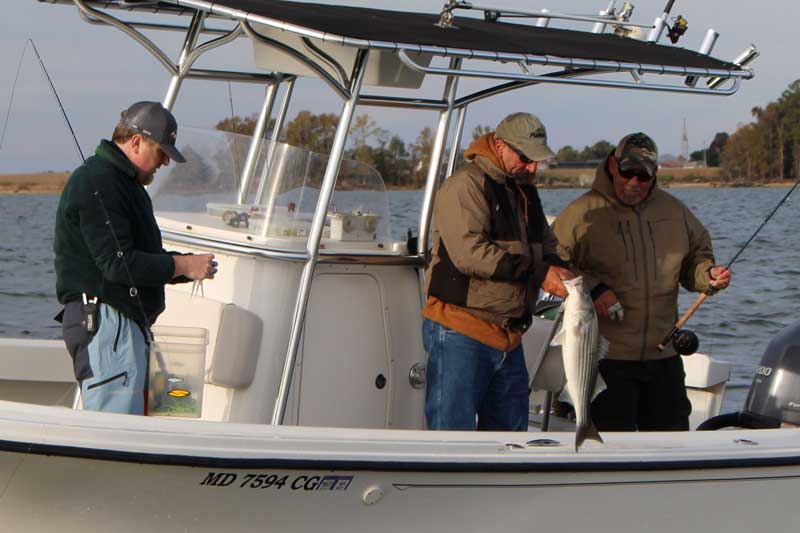 fishing on a boat