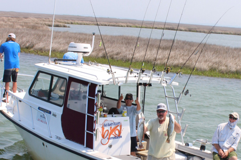 big catch on this fishing boat