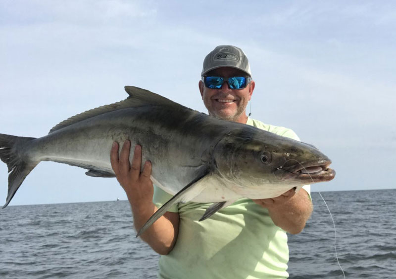 angler with a big cobia