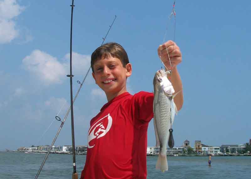 croaker on a top and bottom rig