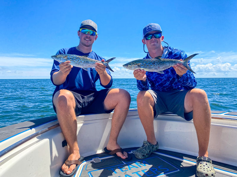 spanish mackerel in the chesapeake