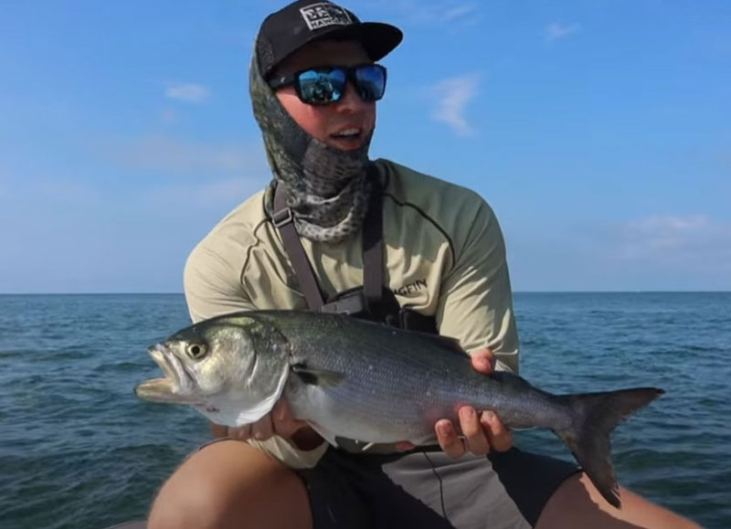 angler with a bluefish