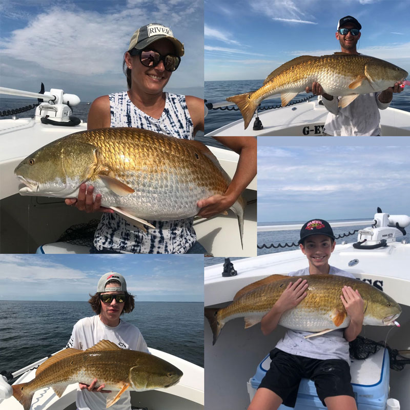 chesapeake bay bull redfish