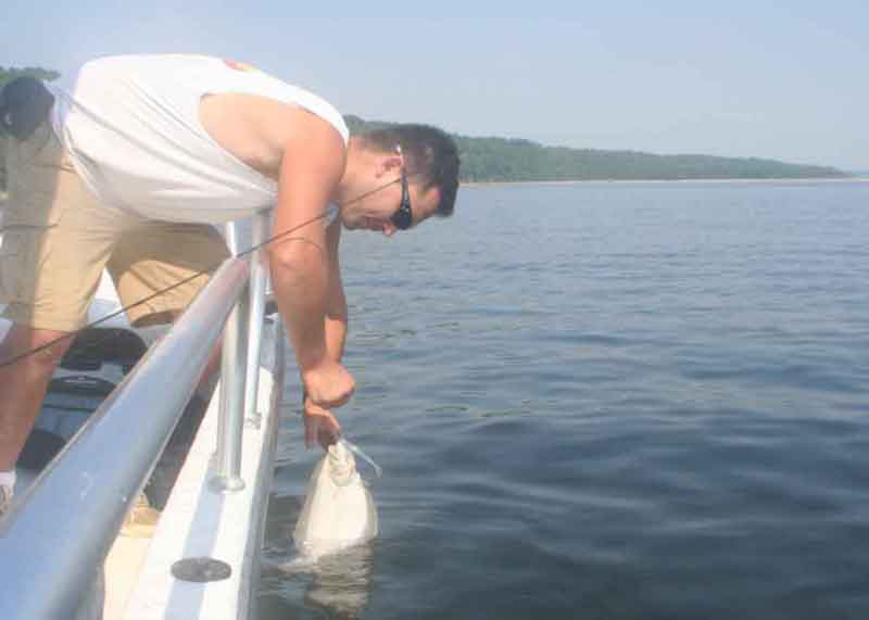 flounder fishing