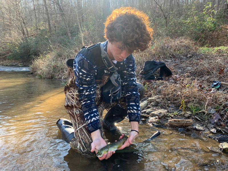 releasing a trout