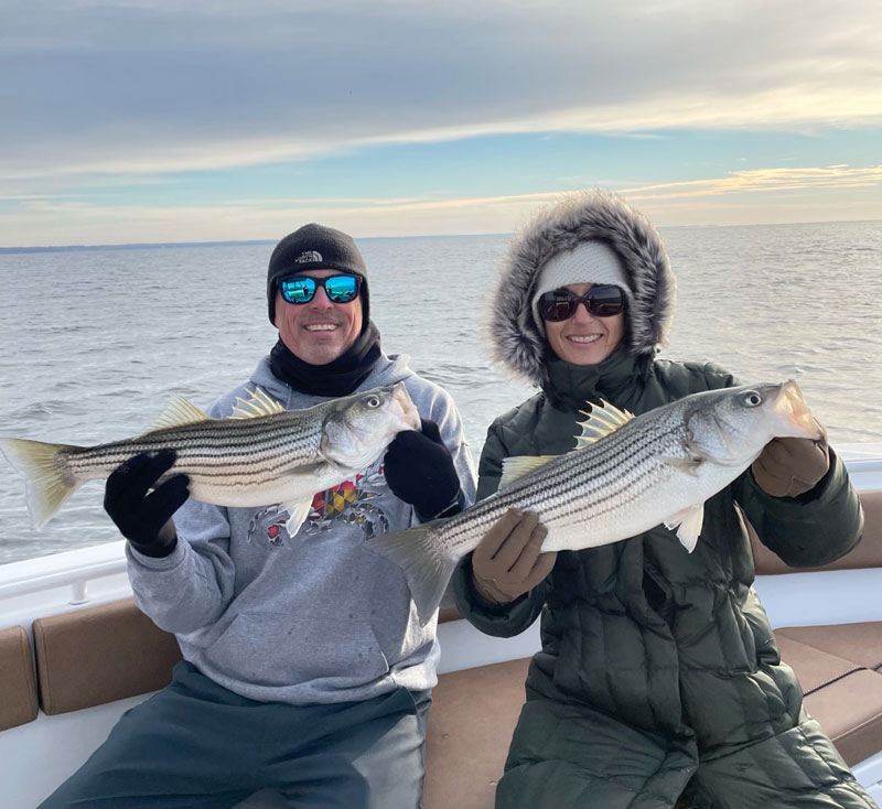 rockfish in the lower bay