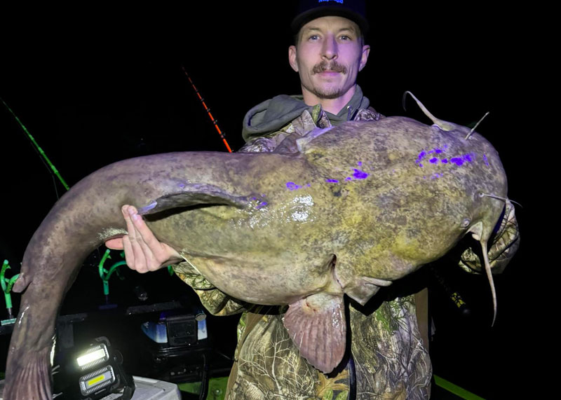 monster flathead catfish