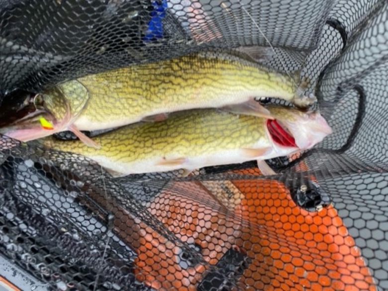 double header of pickerel