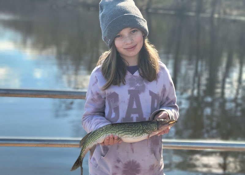 unicorn pickerel